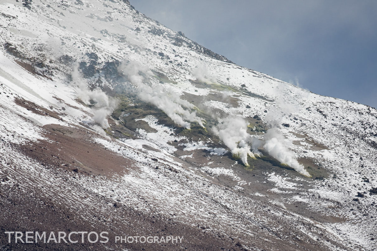 Fumaroles on Guallatiri TREMARCTOS